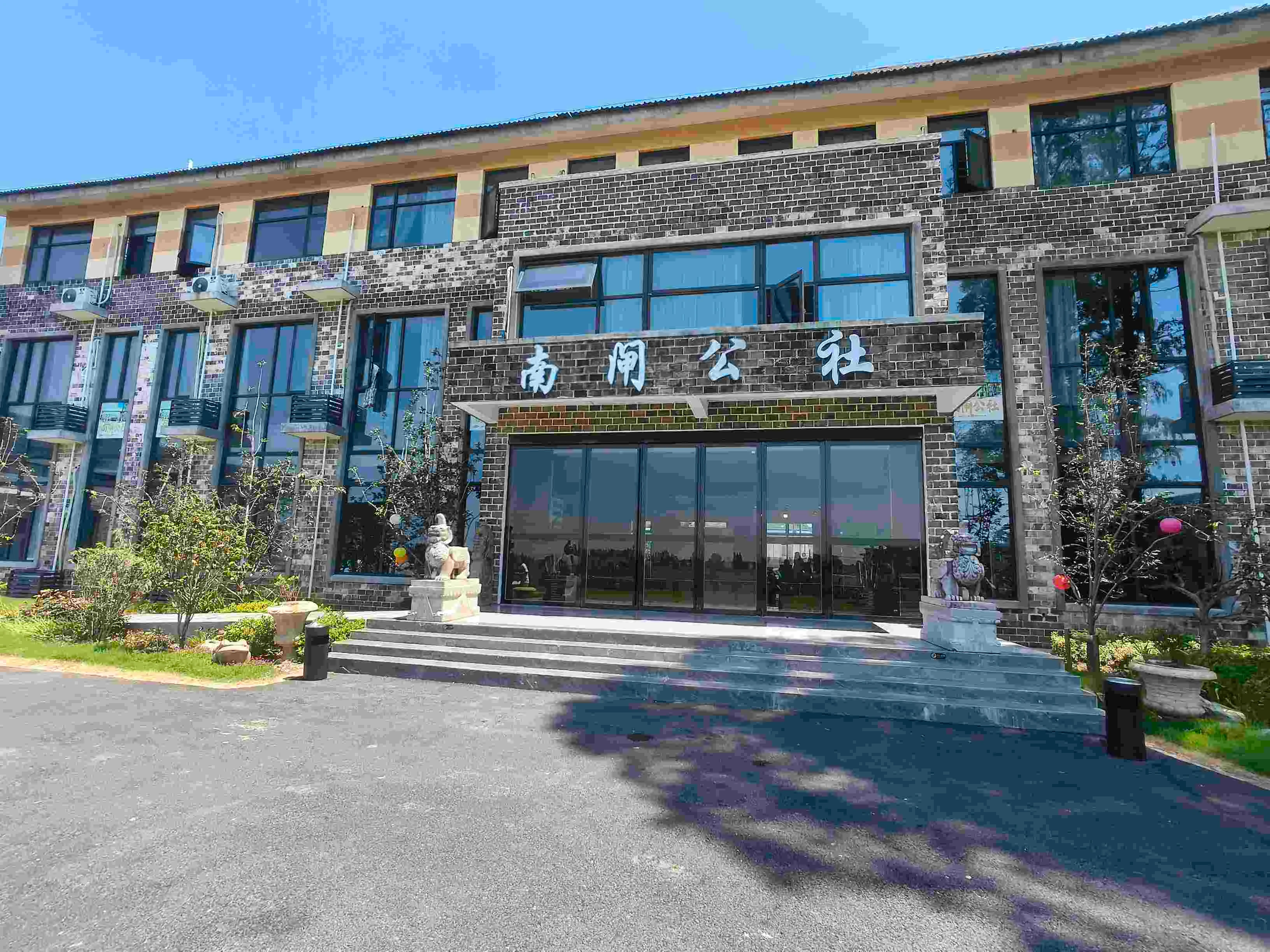 探寻乡村振兴新路径 贡献青春智慧