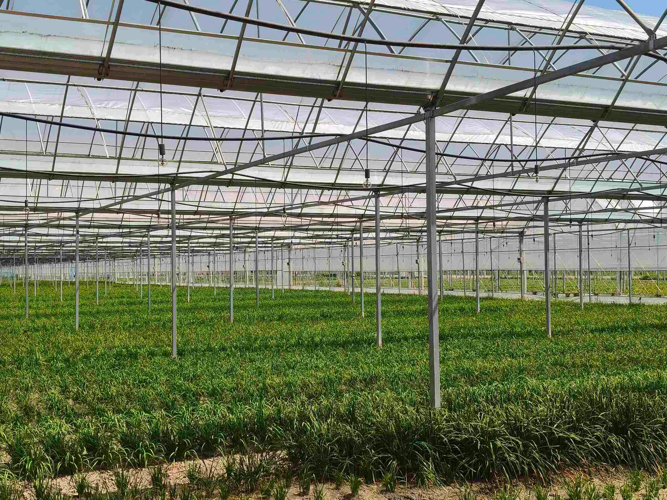 夏日蔬语与振兴痕