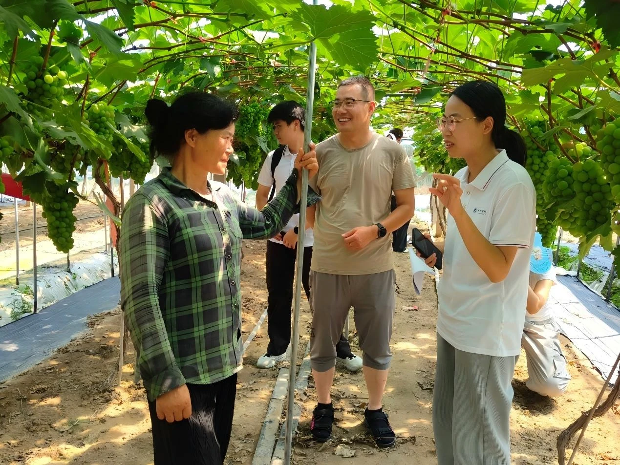巢湖学院数学与大数据学院赴同大镇“智汇农业，数联乡村”智慧农业发展调研团——采访葡萄园园长活动