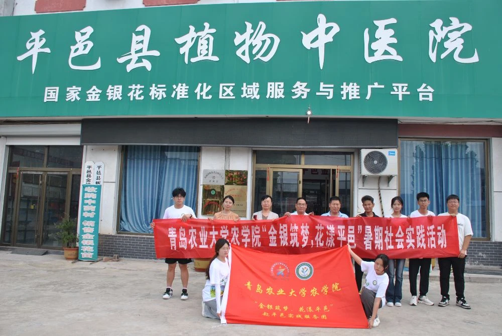 青岛农业大学农学院“金银筑梦”实践服务团赴平邑县金炜中药材种植合作社参观调研