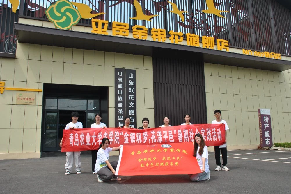 农学院“金银筑梦”实践服务团赴平邑县 郑成镇四合村开展金银花产业调研