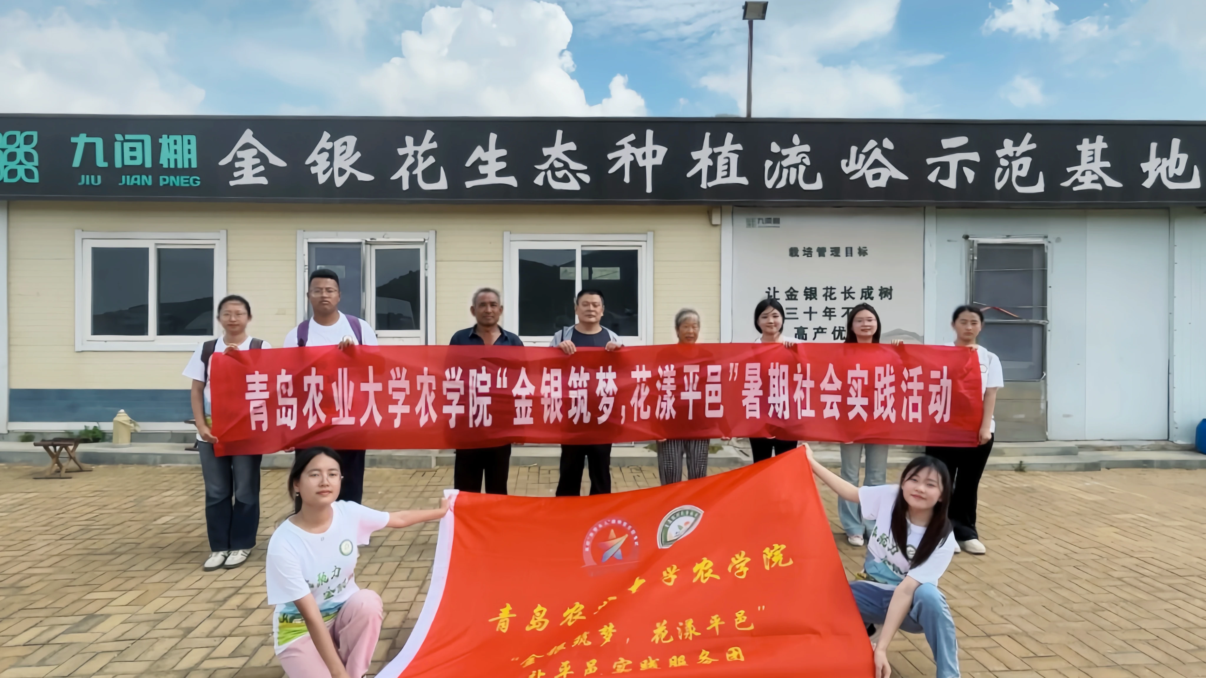 青岛农业大学农学院“金银筑梦”赴平邑实践服务团探索金银花产业振兴新路径