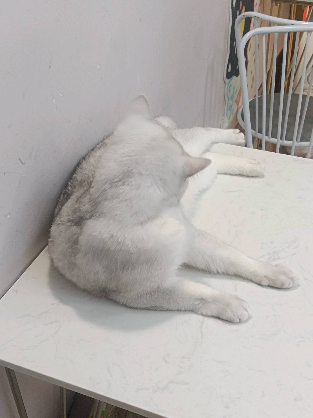 日常